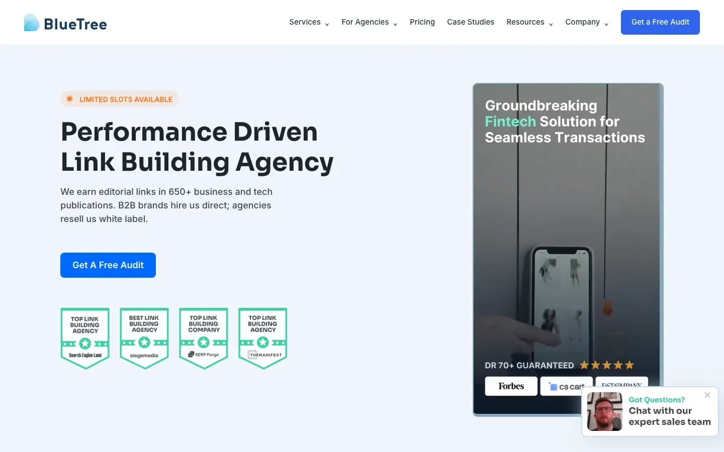 BlueTree Digital homepage, above the fold